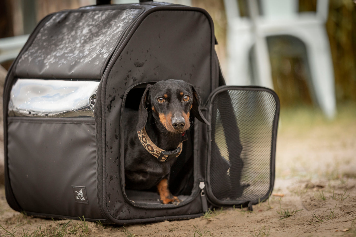 Hunderucksack Nico-Pico Dog-Travel-Lounge