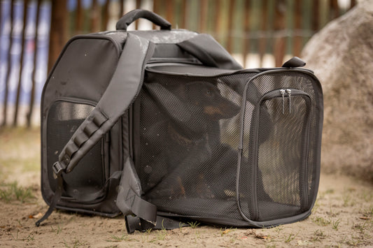 Hunderucksack Nico-Pico Dog-Travel-Lounge