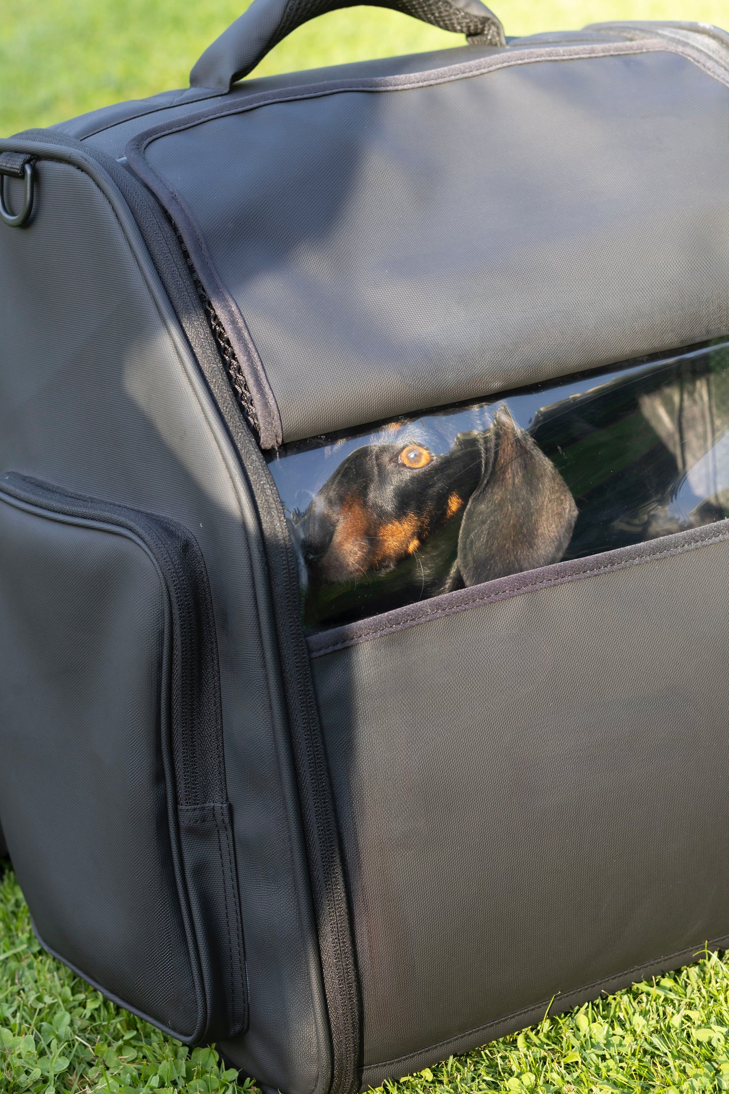 Hunderucksack Nico-Pico Dog-Travel-Lounge